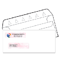 Double Window Self Seal Security Check Envelopes